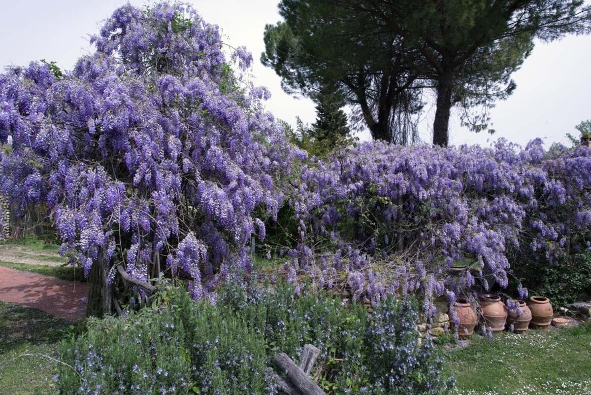 Molino In Chianti Mercatale Val Di Pesa Exterior foto