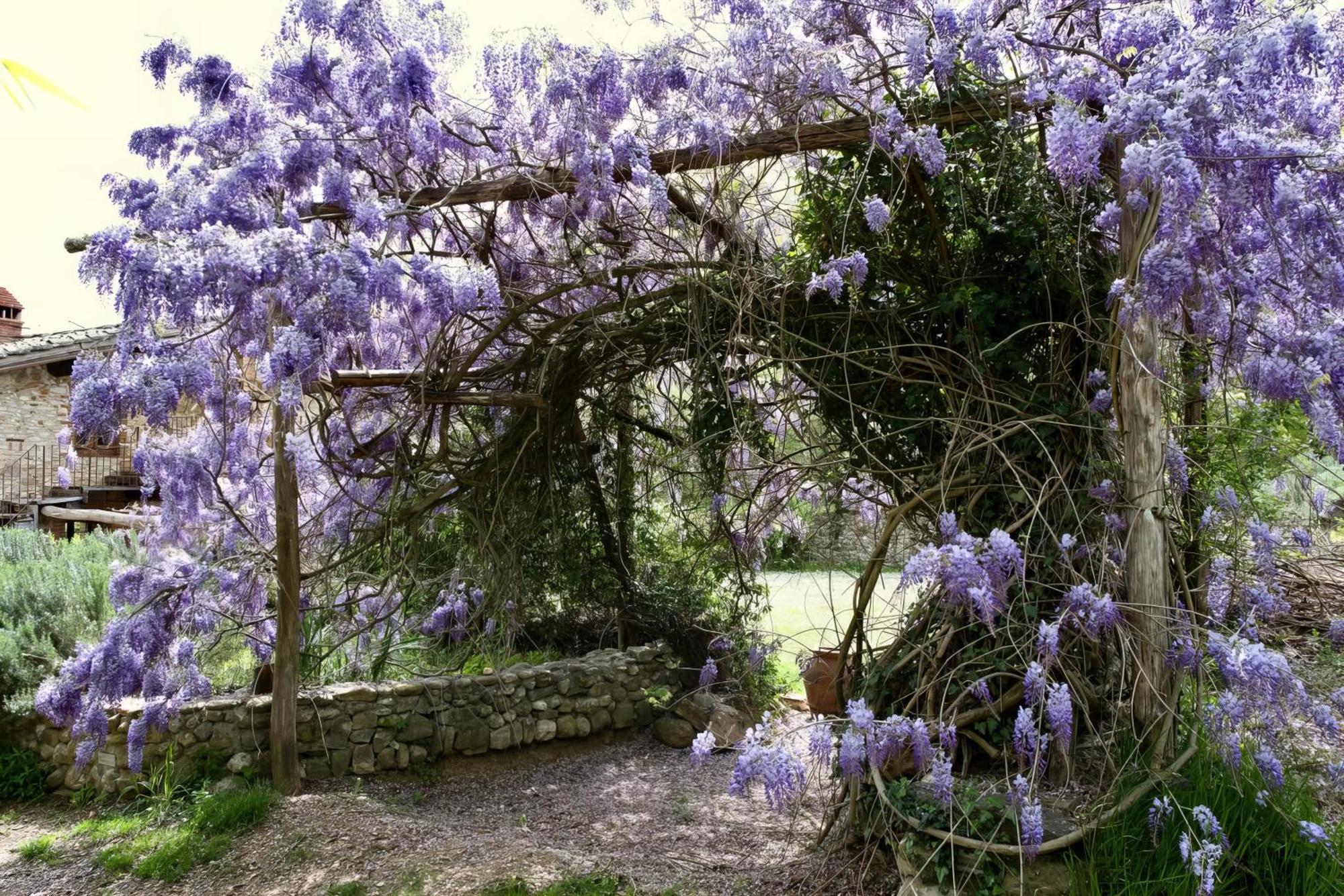 Molino In Chianti Mercatale Val Di Pesa Exterior foto